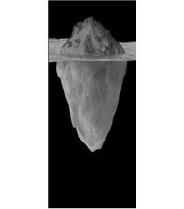 Ganzglastür Eisberg Gelasert Auf Klarglas