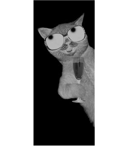 Ganzglastür Drinking Cat Gelasert Auf Klarglas