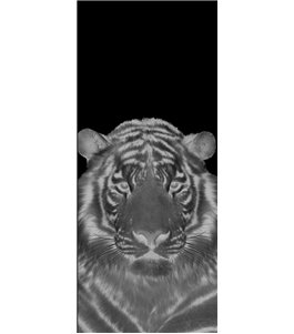 Ganzglastür Tigerkopf Gelasert Auf Grauglas