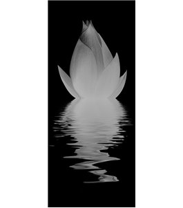 Ganzglastür Lotus Gelasert Auf Grauglas