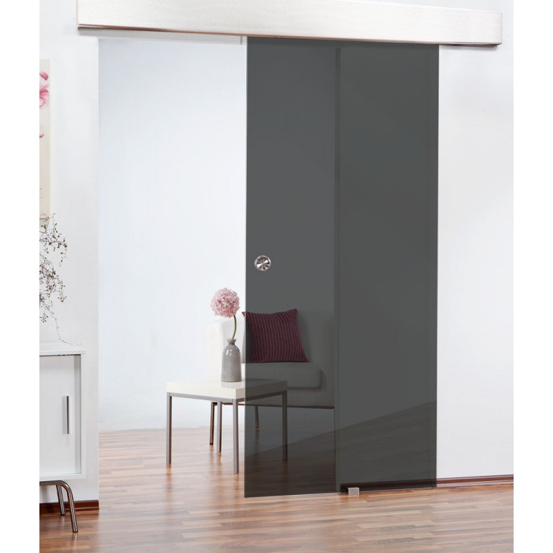 Glasschiebetüren ECO-LINE Dark Grey für ein modernes Zuhause