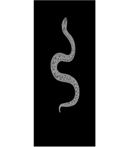 Pendeltür Snake Gelasert Auf Klarglas