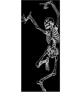 Pendeltür Skelett Gelasert Auf Klarglas