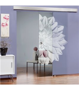 Glasschiebetür ECO-LINE Blume 4 Gelasert Auf Klarglas