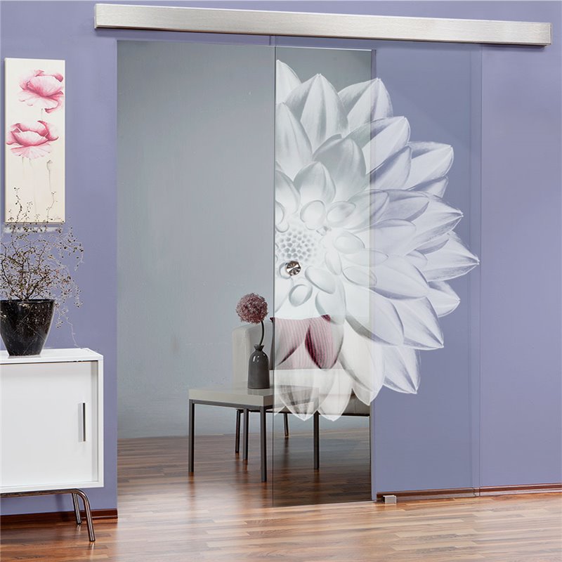 Glasschiebetür ECO-LINE Blume 4 Gelasert Auf Klarglas Glasschiebetür ECO-LINE Blume 4 Gelasert Auf Klarglas