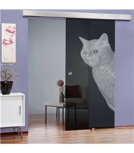 Glasschiebetür ECO-LINE Cats Gelasert Auf Grauglas