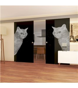 Glasschiebetür ECO-LINE Cats Gelasert Auf Grauglas