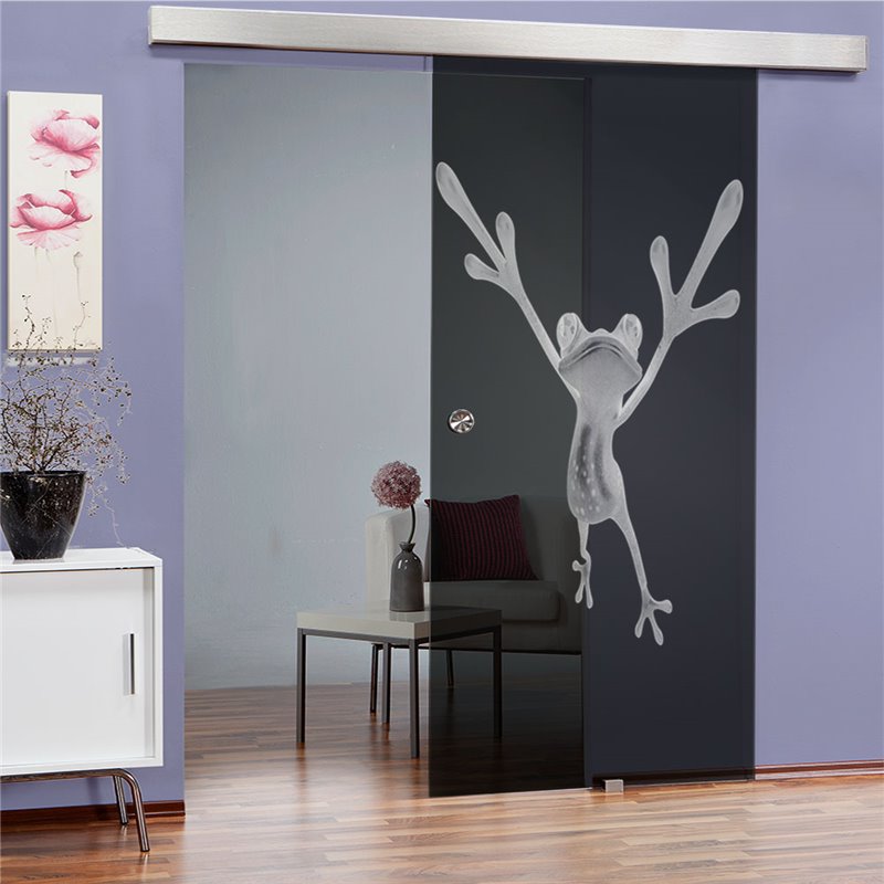 Glasschiebetür ECO-LINE Crazy Frog Gelasert Auf Grauglas Glasschiebetür ECO-LINE Crazy Frog Gelasert Auf Grauglas