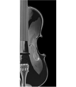 Glasschiebetür ECO-LINE Geige Gelasert Auf Grauglas