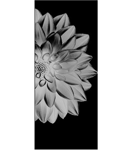 Glasschiebetür ECO-LINE Blume 4 Gelasert Auf Grauglas