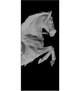 Glasschiebetür SLIM-LINE Pferd Gelasert Auf Klarglas
