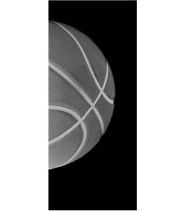 Glasschiebetür SLIM-LINE Basketball Gelasert Auf Klarglas