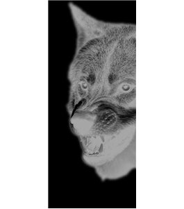 Glasschiebetür SLIM-LINE Wolf Gelasert Auf Grauglas