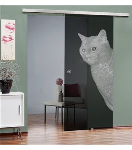 Glasschiebetür SLIM-LINE Cats Gelasert Auf Grauglas