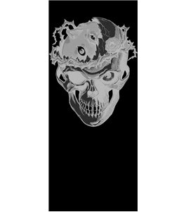 Glasschiebetür SLIM-LINE Skull 4 Gelasert Auf Grauglas