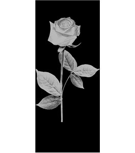 Glasschiebetür SLIM-LINE Rose I Gelasert Auf Grauglas
