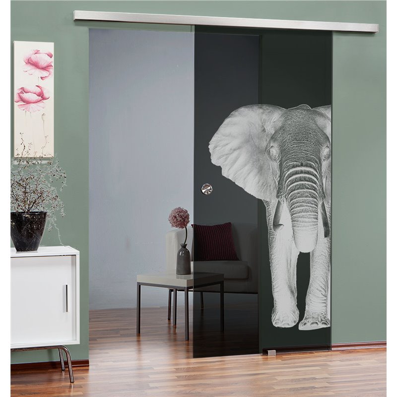 Glasschiebetür SLIM-LINE Elefant 2 Gelasert Auf Grauglas