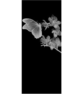 Glasschiebetür PIPE-LINE Butterfly Gelasert Auf Klarglas