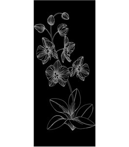 Glasschiebetür PIPE-LINE Blume 9 Gelasert Auf Grauglas