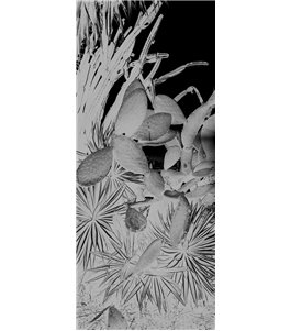 Glasschiebetür PIPE-LINE Kaktusblüten Gelasert Auf Grauglas