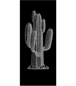 Lichtausschnitt Kaktus Gelasert Auf Klarglas