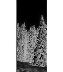 Lichtausschnitt Winterwald Gelasert Auf Klarglas