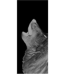Lichtausschnitt Wolf 2 Gelasert Auf Grauglas