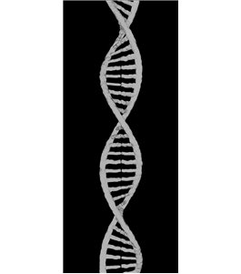 Lichtausschnitt "DNA" Gelasert Auf Grauglas