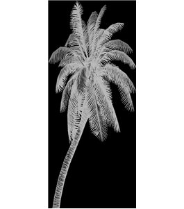 Lichtausschnitt Palme Gelasert Auf Grauglas